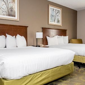 Queen Room Two Queen Beds
